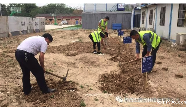 1526031415111581.png Snip20180511_88.png