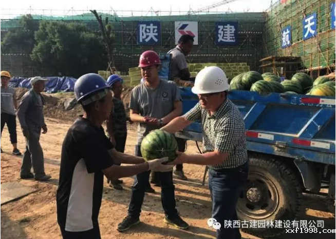 1526035780559327.png Snip20180511_122.png