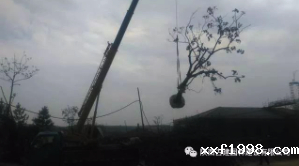 1526269545845574.png Snip20180514_43.png