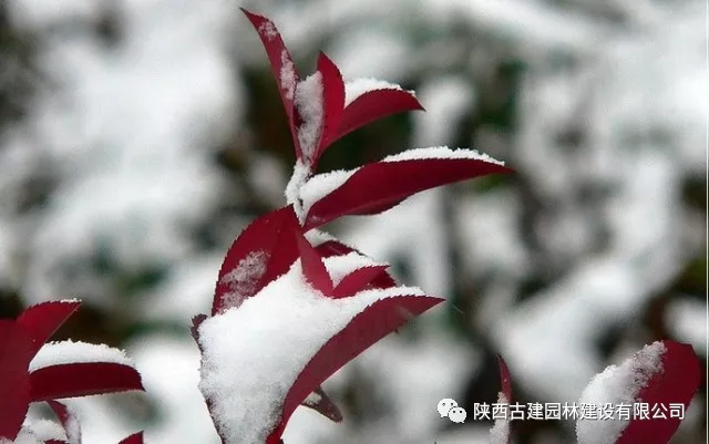 1536221126621249.jpg 2.jpg