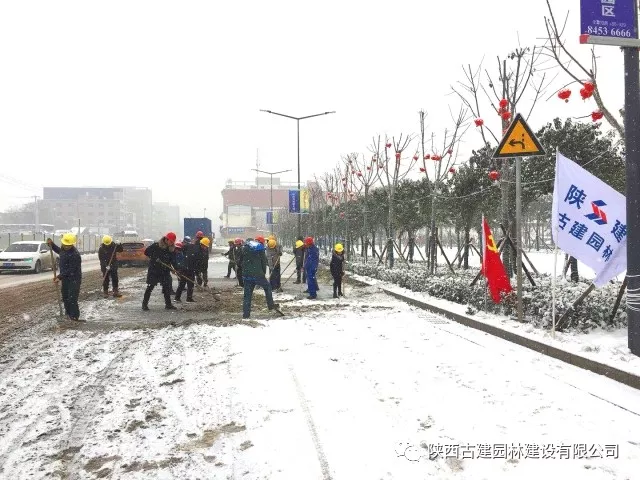 1536221300921396.jpg 4.jpg