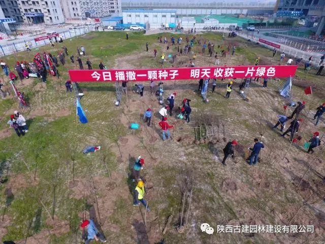 1536224954367706.jpg 1536224954367706.jpg