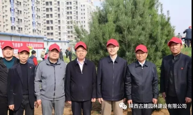 1536225182564576.jpg 3.jpg