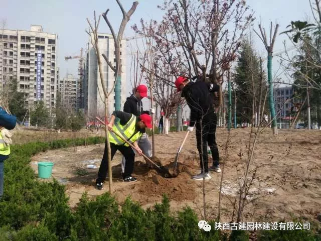 1536225208124060.jpg 4.jpg