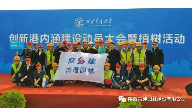 1536225225581531.jpg 5.jpg